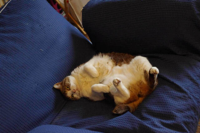 2010031602.jpg