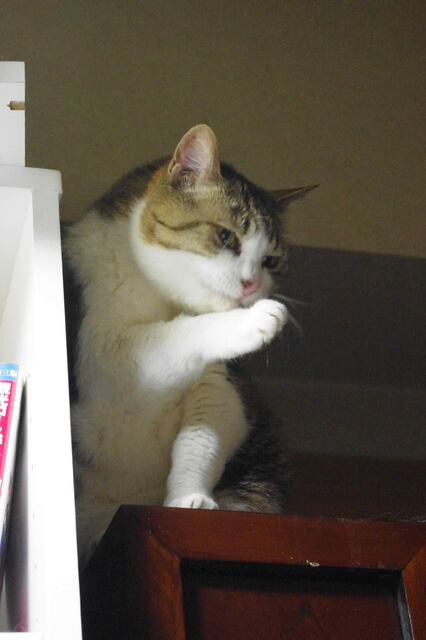 2011062202.jpg