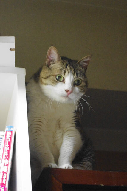 2011062203.jpg