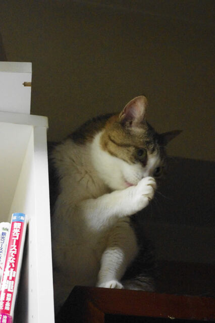 2011062205.jpg