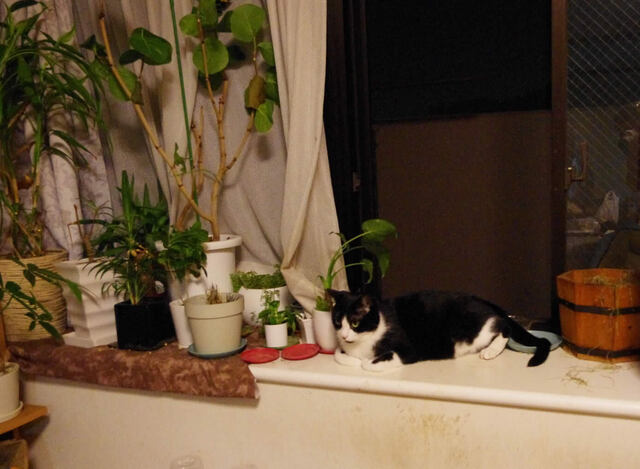 2011062208.jpg