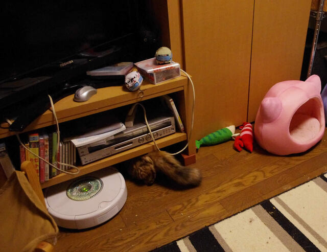 2011062210.jpg