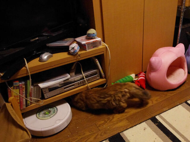 2011062211.jpg