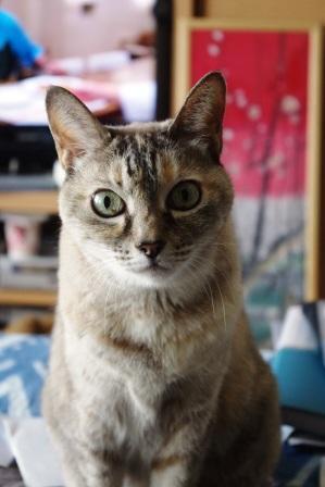 2012021810.jpg