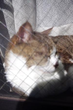 2012021813.jpg