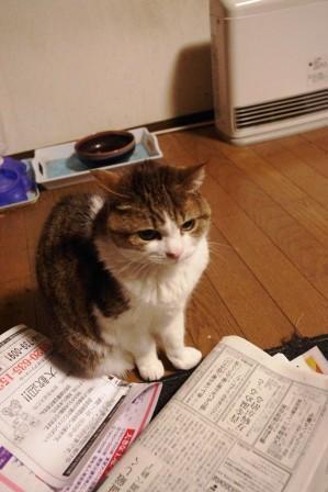 2012021817.jpg