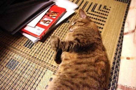 2012061803.jpg