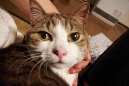 2012061804.jpg