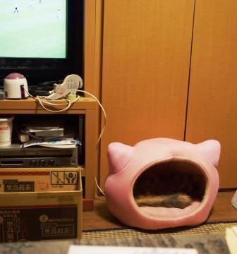 2012061807.jpg