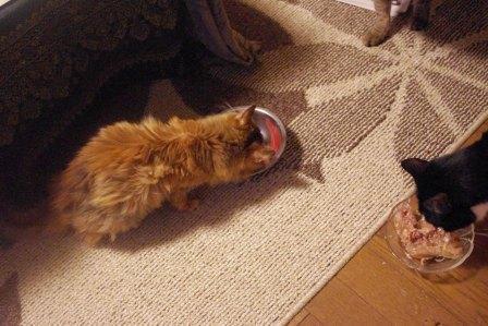 2012120301.jpg