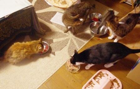 2012120303.jpg