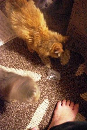 2012120310.jpg