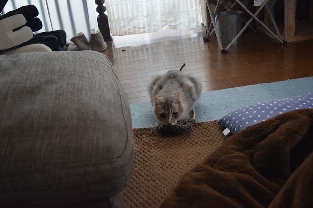 DSC_0002.jpg