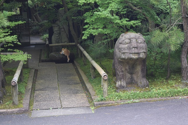 DSC_0009.jpg