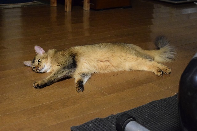 DSC_0026.jpg