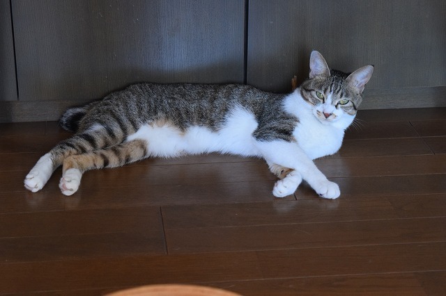 DSC_0056.jpg