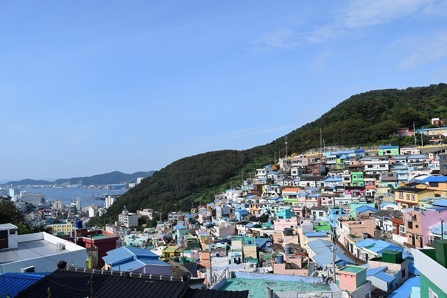 DSC_0371.jpg