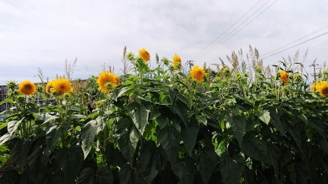 DSC_1328_HORIZON (640x360).jpg