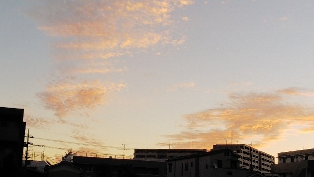 DSC_1996 (640x360).jpg