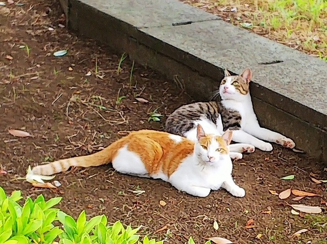 DSC_3982.jpg