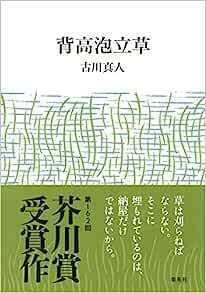 背高泡立草.jpg