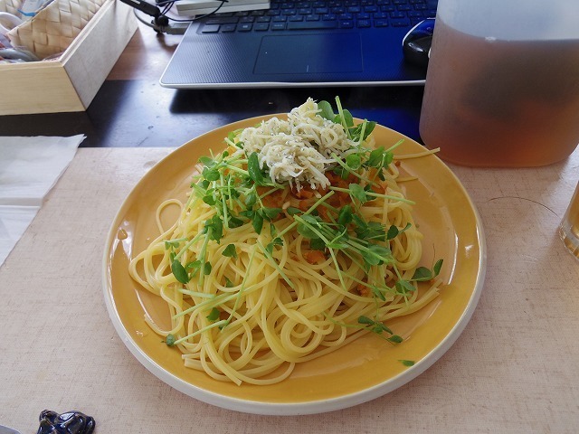 IMGP0062.jpg
