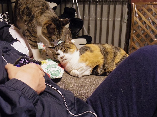 IMGP0067.jpg