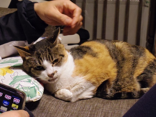 IMGP0071.jpg