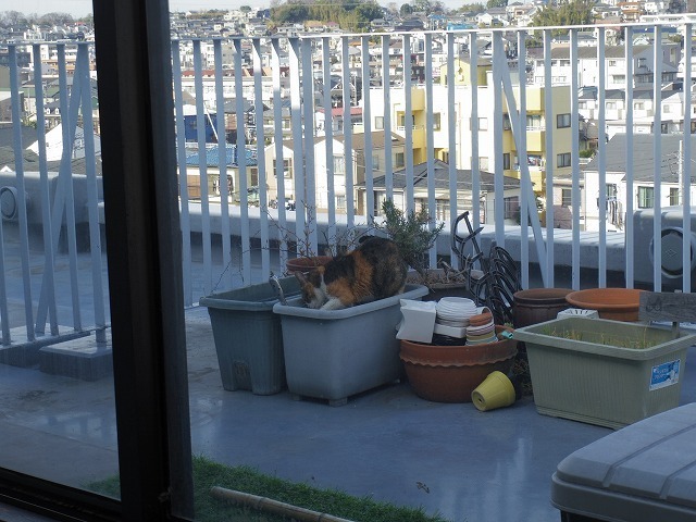 IMGP0089.jpg