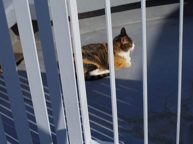 IMGP0096.jpg
