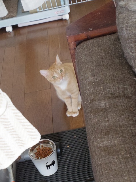 IMGP0285.jpg