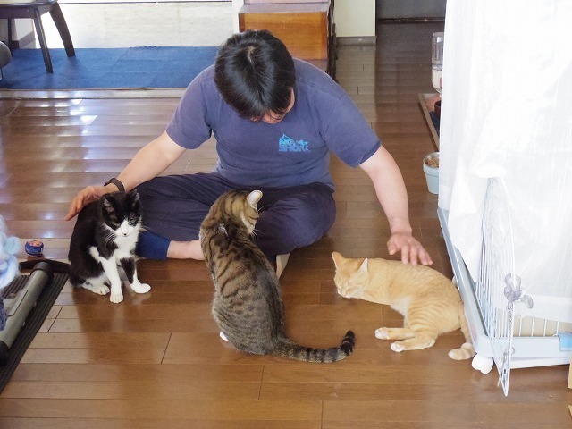 IMGP0794.jpg
