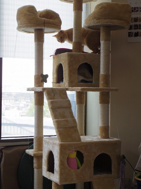 IMGP1122.jpg