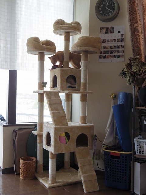 IMGP1124.jpg