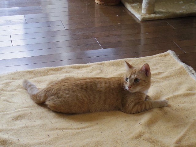 IMGP1128.jpg