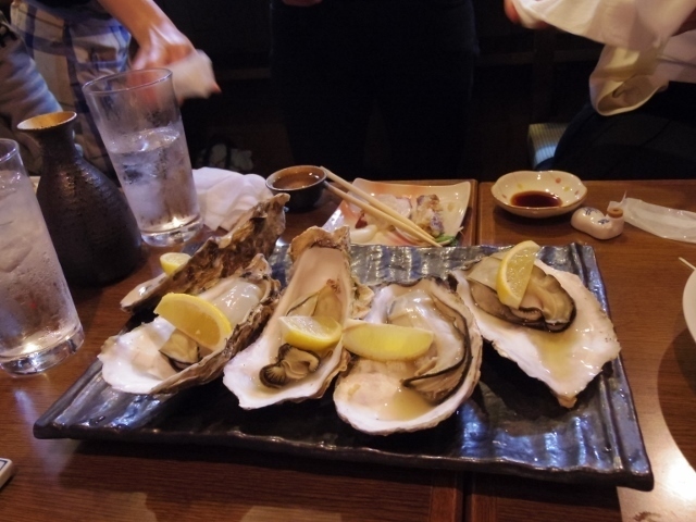 IMGP1265 (640x480).jpg