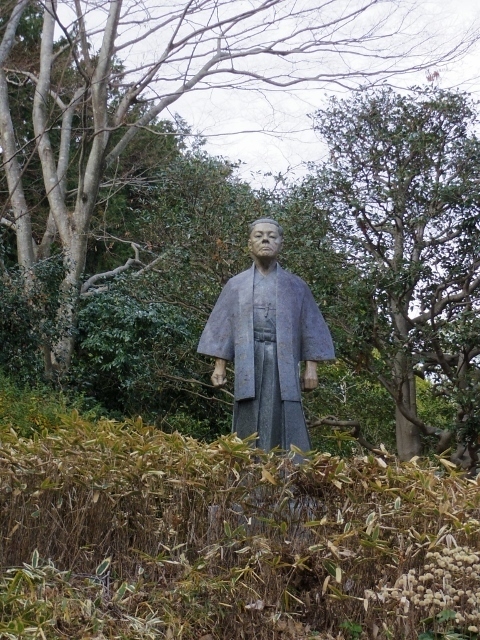 IMGP1455 (480x640).jpg