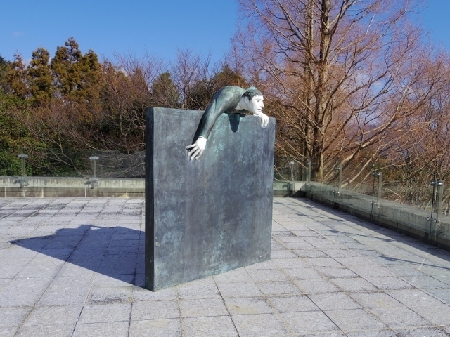 IMGP1504 (640x480).jpg