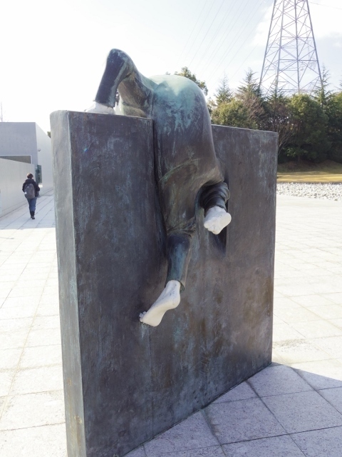 IMGP1507 (480x640).jpg