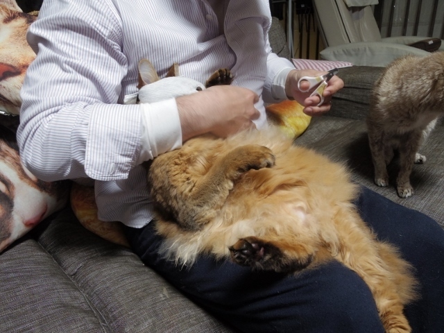 IMGP1647 (640x480).jpg