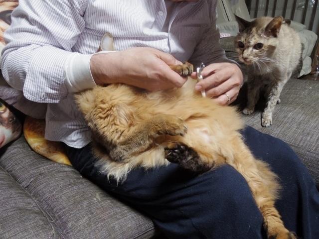 IMGP1650 (640x480).jpg