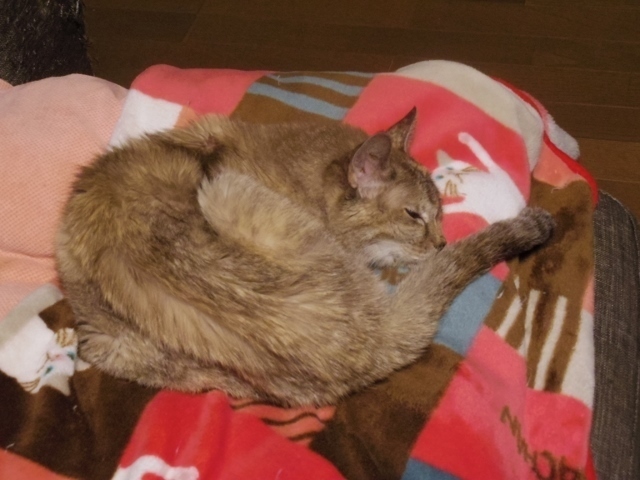 IMGP1655 (640x480).jpg