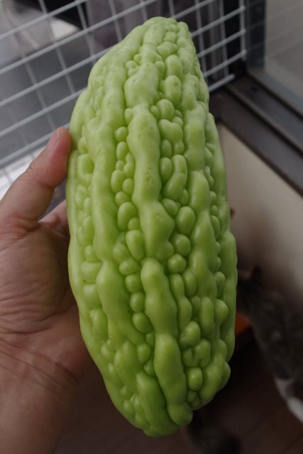 IMGP2217 (427x640).jpg