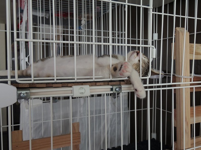 IMGP2485.jpg