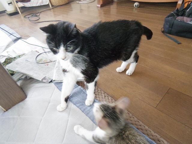IMGP2491.jpg