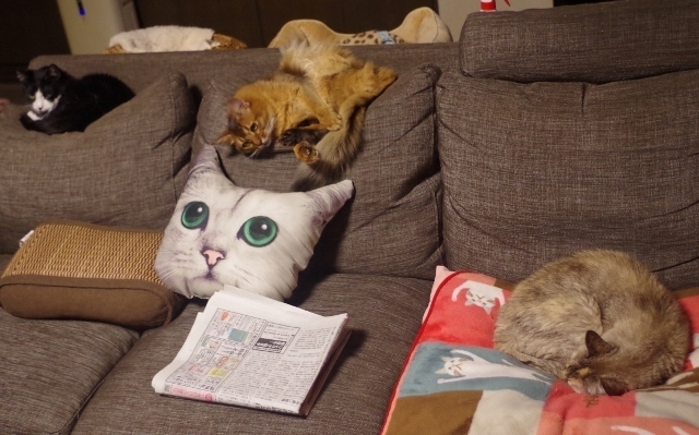 IMGP2626 (640x399).jpg