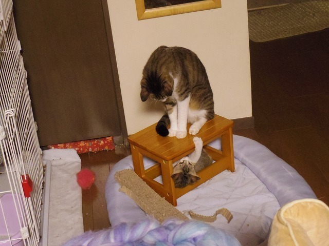 IMGP2916.jpg