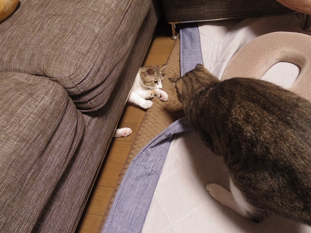 IMGP3262.jpg