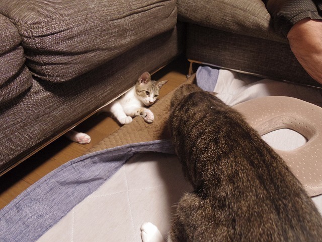 IMGP3264.jpg
