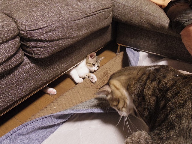 IMGP3265.jpg